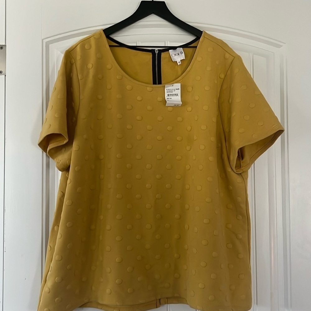 NWT Nordstrom Rack Top Size 3XL